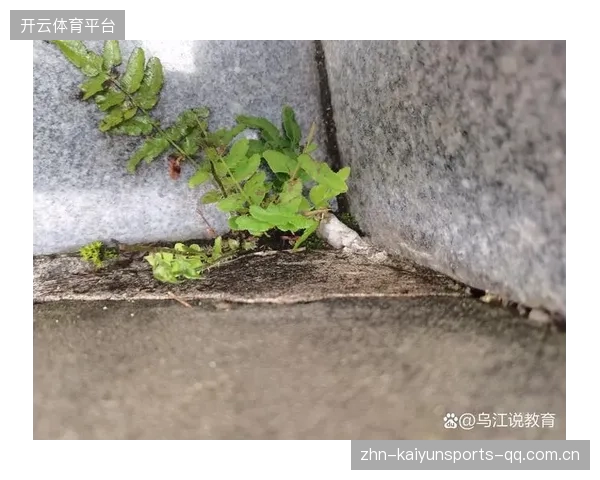 从“费利佩被担架抬下”看生命的坚韧与成长——如何在逆境中重新定义自己